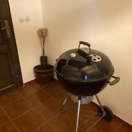 Horní Heřmanice Prázdninový dům *