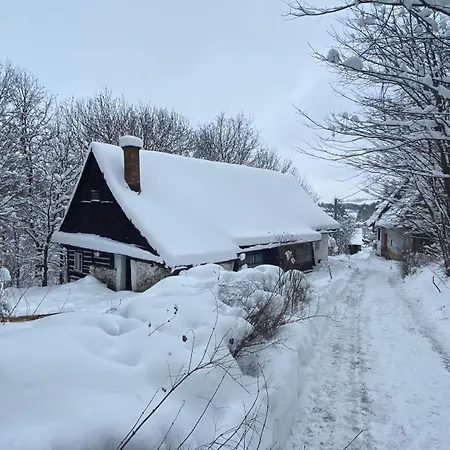 Horní Heřmanice Prázdninový dům